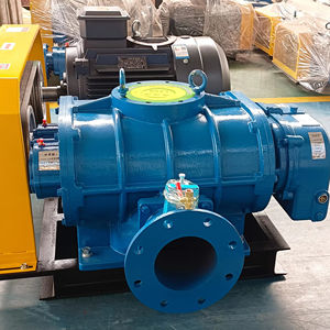 소형 공압 컨베이어 트윈 로브 뿌리 송풍기 직접 커플 링 좋은 판매 고풍력 발전소 공장 가격 에어 로터리 송풍기 - Product Image 1