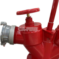 Hydrant extérieur durable DN100 à double sortie - Outil de lutte contre l'incendie à réponse rapide