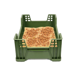 Nhà máy tùy chỉnh kích thước mealworms đen lính bay chăn nuôi hộp PP nhựa côn trùng chăn nuôi hộp khay thiết kế mới cho tiết kiệm không gian - Product Image 5