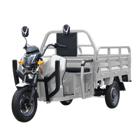 Tricycle électrique motorisé chinois à 3 roues, carrosserie ouverte, charge utile de 400 kg, batterie 60 V, puissance supérieure à 1000 W, vitesse de 30 km/h