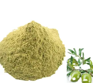 Eucommia ulmoides Oliver extract/Olive Seed Extract/Oliver Fruit Extract