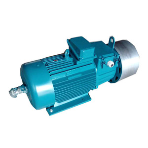 Motor de Anillo para Grúa Trifásico de 380V CA Serie YZR con Eficiencia IE3 y Carcasa de Hierro Fundido - Product Image 1