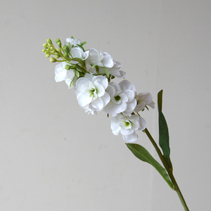 Fleurs artificielles en gros M-1066, Delphinium Ajacis violet de 52 cm, fleur à tige unique, fleur <span class=keywords><strong>violette</strong></span> pour <span class=keywords><strong>la</strong></span> décoration de table et de <span class=keywords><strong>la</strong></span> maison - Product Image 5