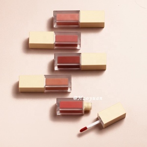 Oem/ODM PETG rỗng vuông tùy chỉnh màu sắc nhựa mỹ phẩm Lip Gloss bao bì Son môi lỏng ống với bàn chải - Product Image 4