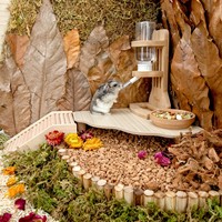 Platform Permainan Hamster Kayu Segitiga, Furnitur Hewan Peliharaan Kecil, Meja Tinggi Indoor untuk Hamster Dwarf, Gerbil, Tikus