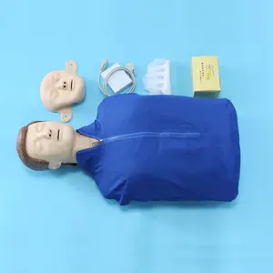 学校真人大小教学紧急医学科学出售急救娃娃训练人体模型高级半身Cpr人体模型