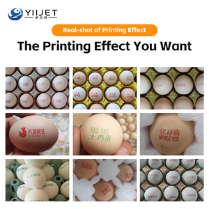 Nhiệt máy in phun cho trứng mã hóa thời gian thời hạn sử dụng ngày số lô mã hóa với tốc độ nhanh và hiệu quả cao - Product Image 6