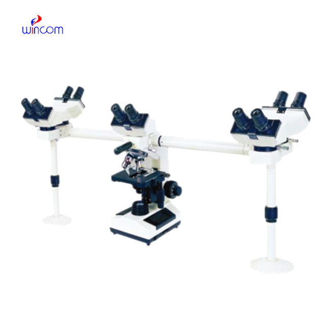 Laboratory Student Teaching Microscope Multiple Heads 5 People Viewing Microscope