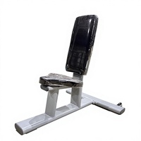Banc multifonctionnel, équipement d'entraînement gratuit à domicile, équipement de gym, chaise d'entraînement des épaules en acier