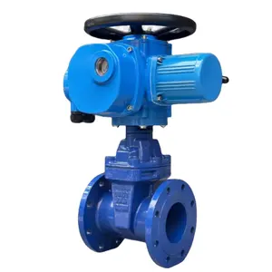 Fm Approved Factory Manufacture Gate Valve Water Digital Dn700 Pn10 Iron Flanged Gate Valve For Water