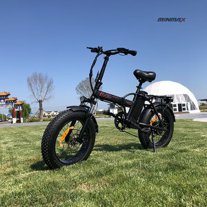 <span class=keywords><strong>Vélos</strong></span> électriques Minmax 48v 1000w 10Ah Kit <span class=keywords><strong>Vélo</strong></span> électrique chinois 29 pouces Moto électrique rapide pour adulte <span class=keywords><strong>Vélo</strong></span> électrique à pneus larges - Product Image 5