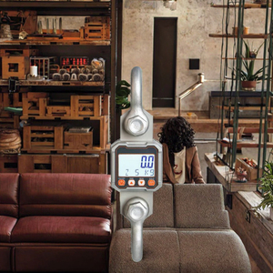 Báscula Digital Electrónica para Grúa ACE OCS-Y2 1-3T 5T 10T con Control Remoto, Personalizable OEM/ODM - Product Image 3