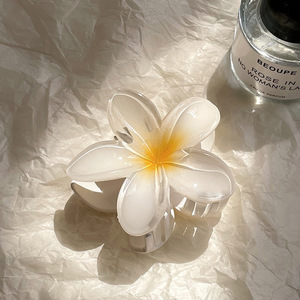 Pinces à cheveux en plastique PYC motif fleur hawaïenne 5x5x3cm pour femmes et filles, accessoires de mode décontractés, vente en gros - Product Image 5