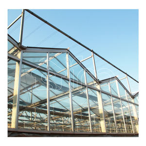 <span class=keywords><strong>Serre</strong></span> <span class=keywords><strong>en</strong></span> verre Venlo de grande taille pour l'agriculture commerciale <span class=keywords><strong>en</strong></span> plein air, de haute qualité, kit complet, fourniture professionnelle, multi-spans, UV - Product Image 4