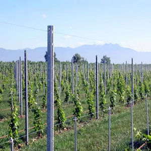 Palo <span class=keywords><strong>per</strong></span> Vigneto <span class=keywords><strong>in</strong></span> Acciaio Zincato a Z, Lunghezza 2,5m, Palo <span class=keywords><strong>per</strong></span> Viti, Palo <span class=keywords><strong>per</strong></span> Vigneto Facilmente Assemblabile, Recinzione Agricola <span class=keywords><strong>per</strong></span> Traliccio Vigneto - Product Image 1