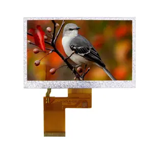 Small Middle Size Lcd 480*272 Dots RGB 24bit 4.3 Inch Tft Lcd Module