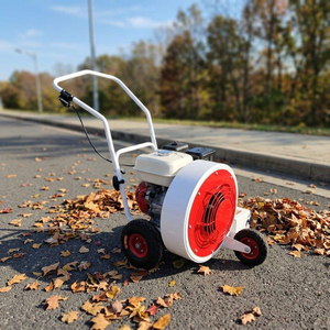Souffleur de voirie thermique portatif blanc avec ventilateur rouge, alimenté par moteur, pour le nettoyage des surfaces en béton - Product Image 5