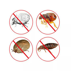 สเปรย์กำจัดเหาและหิดอ่อนโยนปลอดภัยสำหรับเส้นผม60มล. ป้องกันในระยะยาว - Product Image 4