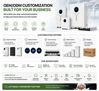 Batterie LiFePO4 51,2 V 300 Ah 15,36 kWh pour système de stockage d'énergie solaire résidentiel (ESS) avec BMS intelligent IP54, stock UE
