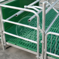 Nouvelle Caisse de Maternité Double Rangée en Acier Galvanisé pour Truies, Aire de Reproduction, Capacité 24 Porcelets, Facile à Utiliser pour Élevage Porcin