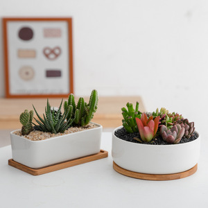 Vente flash : Jardinière géante moderne en céramique blanche émaillée avec soucoupe en <span class=keywords><strong>bambou</strong></span>, écologique, durable, rectangulaire, pour plantes succulentes, au sol - Product Image 2
