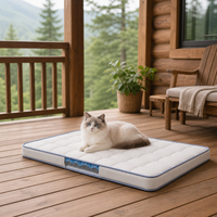 Matelas pour chat pour véranda de cabane, avec couche visible, bordure bleue, en silicone rafraîchissant, design de voyage, pour l'hiver et le repos en montagne