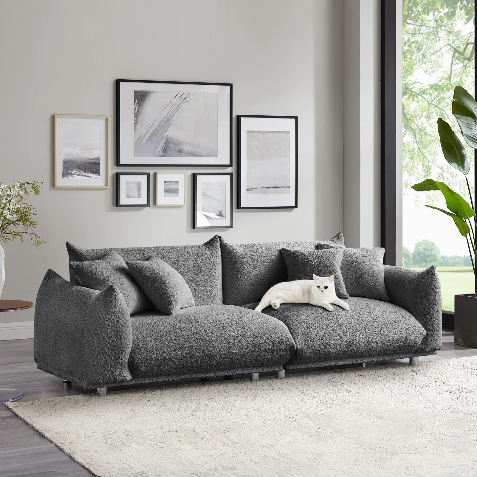 Gray Boucle