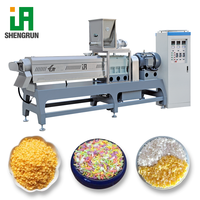 Solution clé en main : Ligne de production d'équipements de traitement haute efficacité pour la fabrication de panko, granulés, flocons et miettes, avec mélangeur, extrudeuse et four