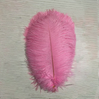 Plumes d'autruche naturelles en vrac teintées de 25 à 30cm personnalisables pour la décoration de mariage et les éventails muraux en plumes