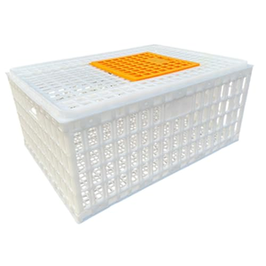 Jaula de Transporte de Animales Vivos para Granjas Avícolas, Tamaño Grande 750*550*320mm, Color Naranja, Jaulas de PP para Transporte de Pollos Vivos - Product Image 1