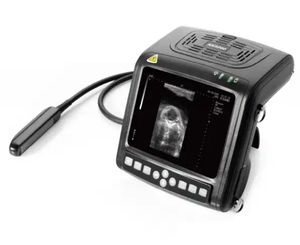 Machine à ultrasons vétérinaire rectale portative Kaixin KX5200 à prix avantageux en Chine pour les vaches et les chevaux - Product Image 5