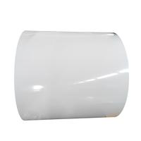 KW acier multi-usages double revêtement PPGI peinture en rouleau de métal peint en couleur zinc galvanisé pour tôle de toiture de construction