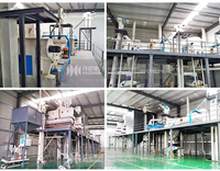 Machinerie agricole Usine complète de traitement des semences de sésame Laveuse de sésame décortiquée Machine de nettoyage des semences de sésame
