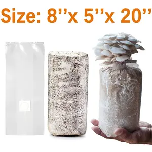 Cultivation Mycelium Mycology Fungus Bag Mushroom Fruiting Spawn Bag With Injection Port