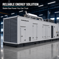 Groupe électrogène au biogaz haute puissance 1200 kW 1500 kVA haute efficacité, type conteneur