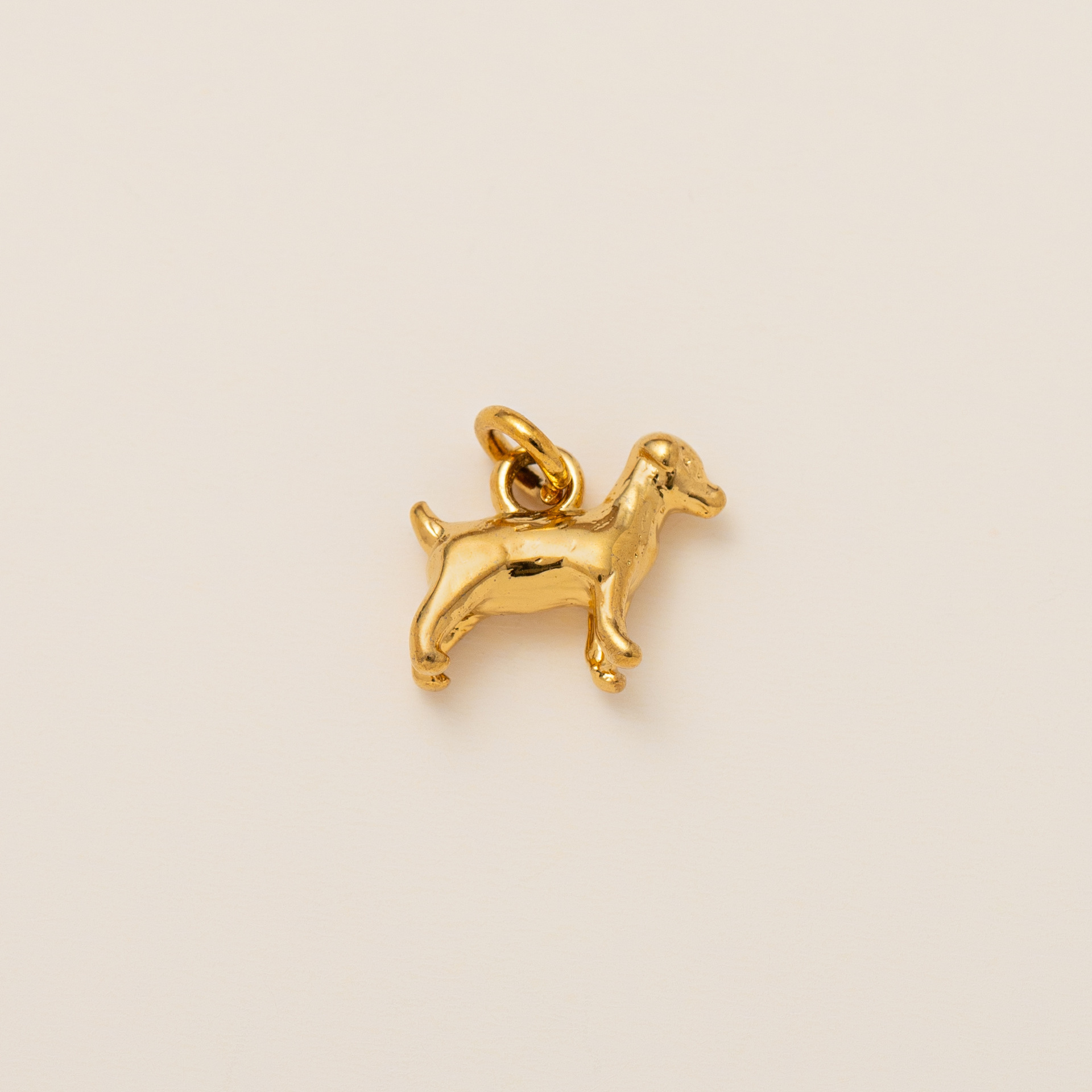 Chien d'or