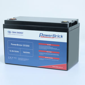 CBAK 12.8V 125Ah LiFePO4 液体電池モジュール 2000サイクル 高サイクル寿命 耐久性バッテリーパック -20～60℃ 121250 - Product Image 1