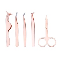 Kit de pinces à épiler d'extension de cils en acier inoxydable 5 pièces avec bout pointu comprend un applicateur de faux cils et des ciseaux à sourcils