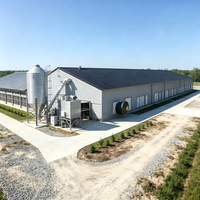 Lámina de Acero Corrugado de Doble Capa, Construcción Moderna de Gallineros, Aislamiento de Lana de Roca/Lana de Vidrio, Proyecto de Almacén para Granjas Avícolas