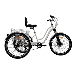 2023 OEM personnalisé tricycle vélo japon charge lourde tricycle à trois roues 20 pouces vélo cargo tricycle tricycle trike pour le transport des adultes