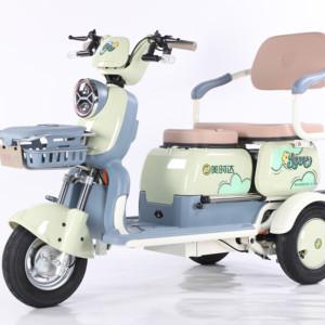 60v 600w תלת אופן חשמלי למבוגרים תחבורה ציבורית - Product Image 1