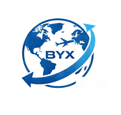 Shenzhen Biyouxuan International Trade Co., Ltd. logo