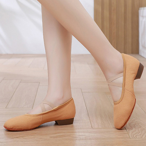 Zapatos de baile de <span class=keywords><strong>ballet</strong></span> de 2cm, zapatos de entrenamiento para mujer, zapatos de baile con suela de gamuza suave, zapatos de baile de Jazz y salsa, <span class=keywords><strong>zapatillas</strong></span> para niñas - Product Image 4