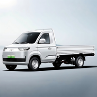 RUICHI C3 2025 : Pick-up électrique, mini camion avec plateau plat, version simple et version simple avec plateau plat