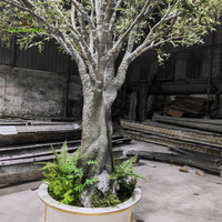 Grand Olivier Artificiel avec Jardinière Blanche et Fougères à la Base