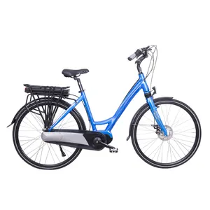 Popüler kadın şehir e bisiklet kentsel elektrikli bisiklet c bisiklet ön motor 700 * 38C renkli LCD ekran SHIMANO nexus 7 hızlı