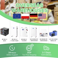 CATL 8000 Cycle 314Ah MB31 3.2v LiFePO4 48V Baterai Prisma untuk Energi Surya Rumah dan Jaringan Listrik dengan Garansi 5 Tahun