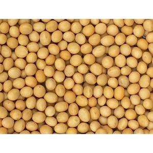 ถั่วเหลืองออร์แกนิกพรีเมียม Pinstar ปลอดจีเอ็มโอ 5 ปอนด์ 80 ออนซ์ ปลูกในสหรัฐอเมริกา เหมาะสำหรับทำนมถั่วเหลือง ถั่วเหลืองแห้งเพื่อสุขภาพ ธรรมชาติ บรรจุภัณฑ์ขนาดใหญ่ - Product Image 3