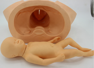 Geavanceerde Gynaecologische Bevallingstraining Die Verloskundige Bevalling En Verloskundige Trainingssimulator Voor Medisch Onderwijs Onderwijst - Product Image 2
