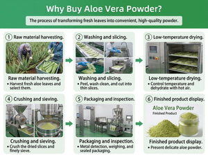 Polvo Fino de <span class=keywords><strong>Aloe</strong></span> <span class=keywords><strong>Vera</strong></span> Natural, Extracto Vegetal de Grado Alimenticio, Polvo Finamente Molido para Cuidado Diario y Aplicaciones en Compuestos de Materia Prima - Product Image 5